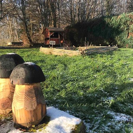 Gite Amelie, Sauna, Spa Au Coeur Des Vosges Housseras エクステリア 写真